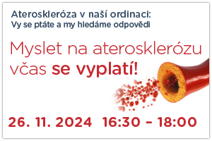 Webinář 26112024